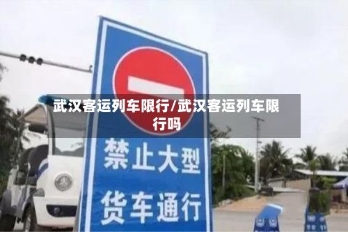 武汉客运列车限行/武汉客运列车限行吗-第2张图片