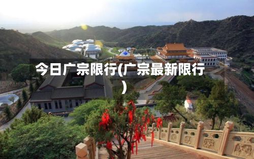 今日广宗限行(广宗最新限行)