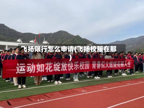 飞扬限行怎么申请(飞扬校服在那)-第2张图片