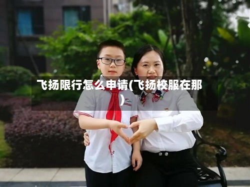 飞扬限行怎么申请(飞扬校服在那)-第3张图片