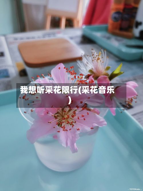 我想听采花限行(采花音乐)