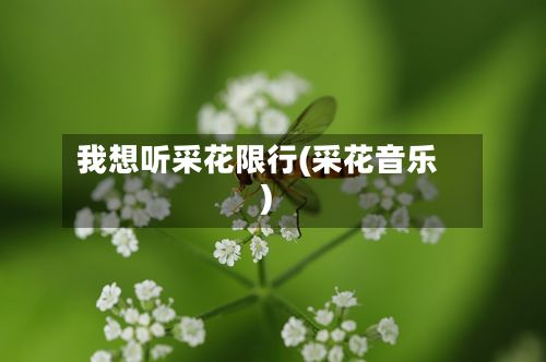 我想听采花限行(采花音乐)-第2张图片