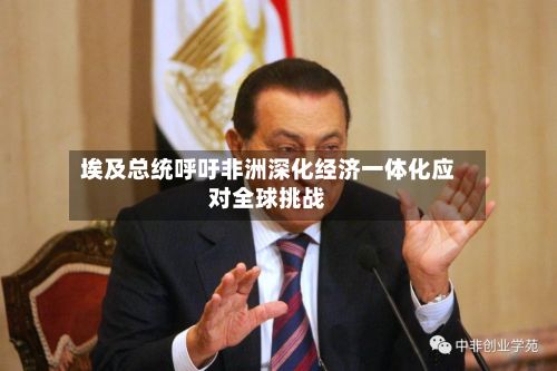 埃及总统呼吁非洲深化经济一体化应对全球挑战