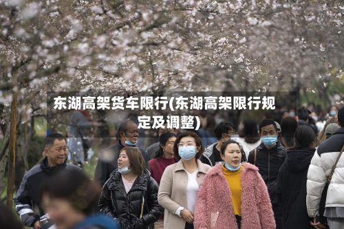 东湖高架货车限行(东湖高架限行规定及调整)-第2张图片