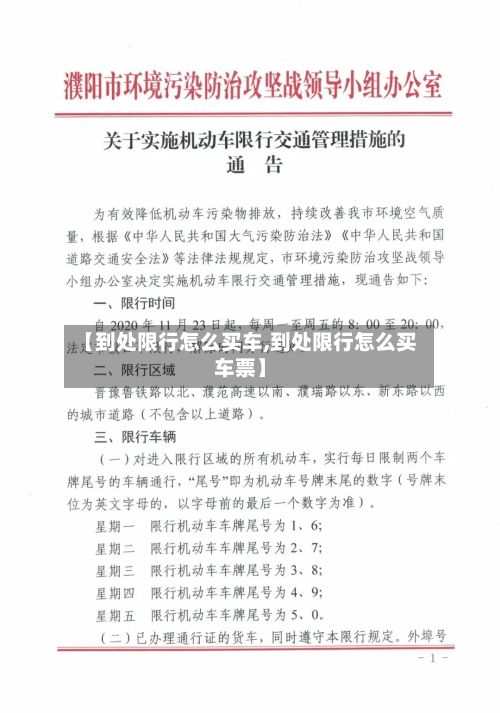【到处限行怎么买车,到处限行怎么买车票】-第2张图片