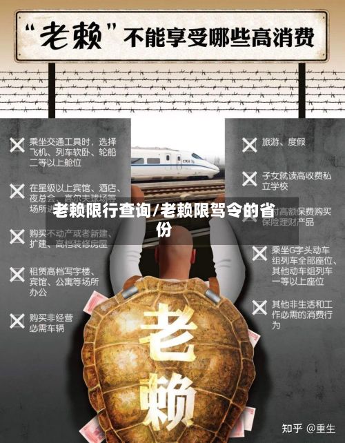 老赖限行查询/老赖限驾令的省份
