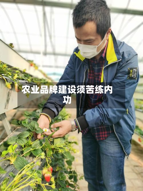 农业品牌建设须苦练内功