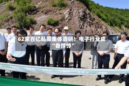 62家百亿私募集体调研！电子行业成“香饽饽”