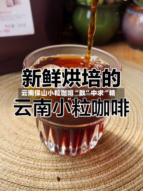 云南保山小粒咖啡“数”中求“精	”-第3张图片