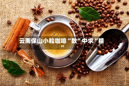 云南保山小粒咖啡“数”中求“精”