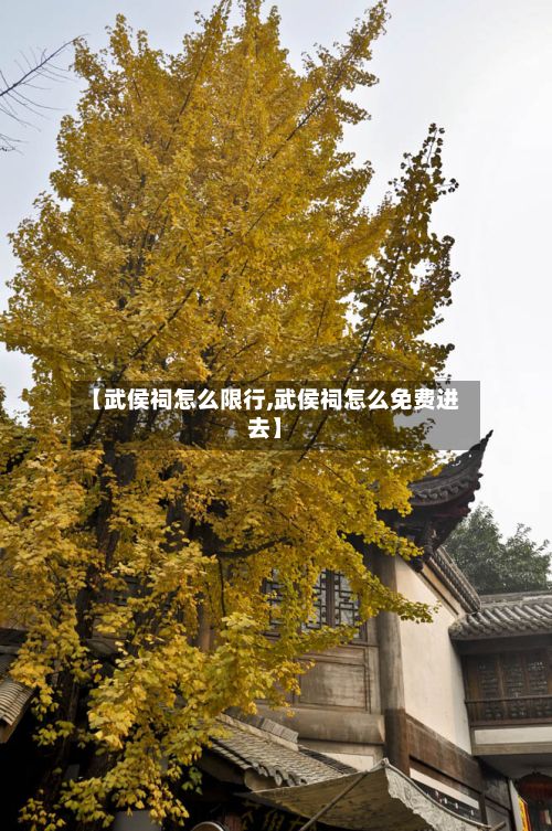 【武侯祠怎么限行,武侯祠怎么免费进去】