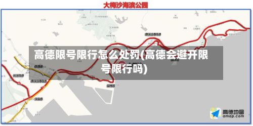 高德限号限行怎么处罚(高德会避开限号限行吗)-第2张图片