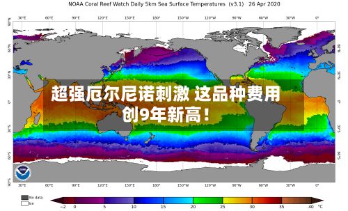 超强厄尔尼诺刺激 这品种费用
创9年新高!-第3张图片