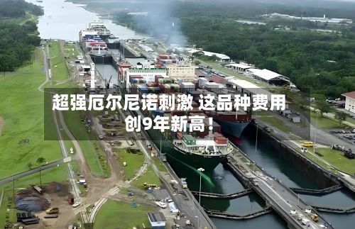 超强厄尔尼诺刺激 这品种费用创9年新高！