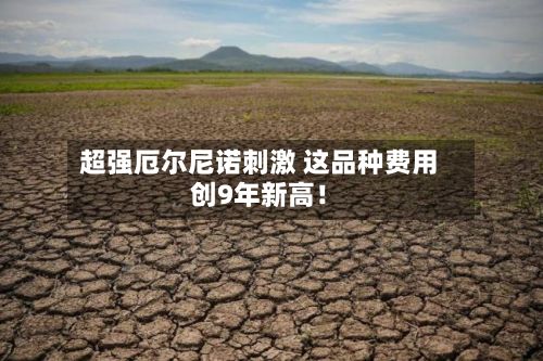 超强厄尔尼诺刺激 这品种费用
创9年新高!-第2张图片