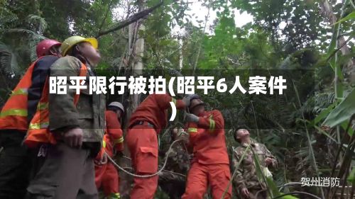 昭平限行被拍(昭平6人案件)