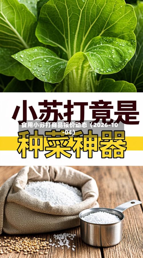 食用小苏打商品报价动态（2026-10-04）-第2张图片