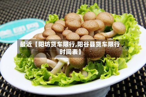 最近【阳坊货车限行,阳谷县货车限行时间表】