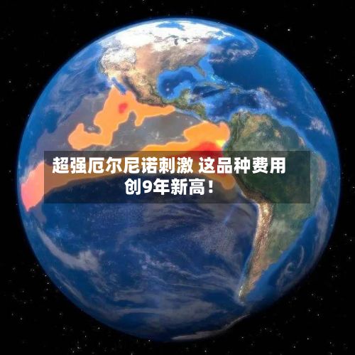 超强厄尔尼诺刺激 这品种费用
创9年新高!-第2张图片