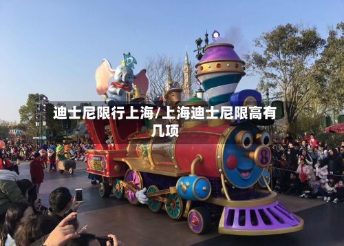 迪士尼限行上海/上海迪士尼限高有几项-第2张图片