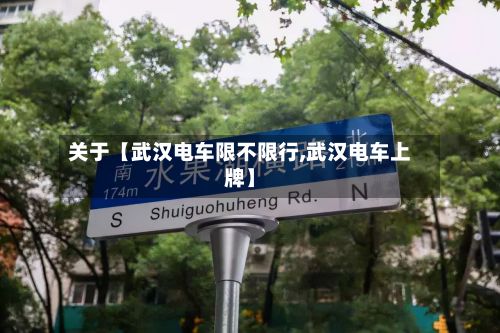 关于【武汉电车限不限行,武汉电车上牌】-第3张图片