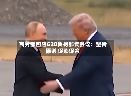 商务部回应G20贸易部长会议:坚持原则 促谈促合-第2张图片