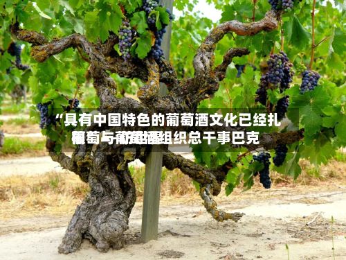 “具有中国特色的葡萄酒文化已经扎根” ——访世界葡萄与葡萄酒组织总干事巴克-第2张图片