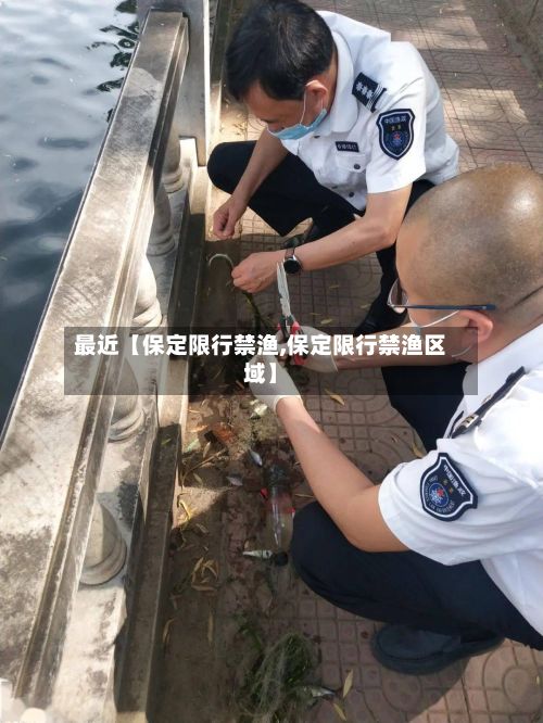 最近【保定限行禁渔,保定限行禁渔区域】