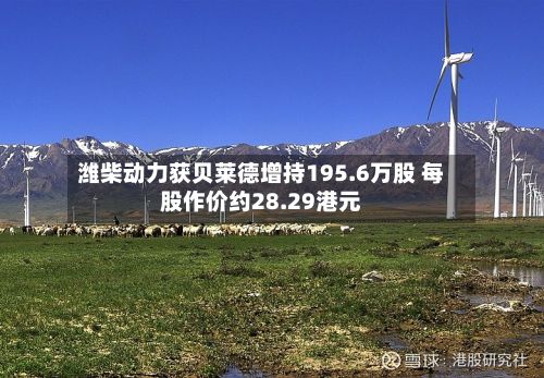 潍柴动力获贝莱德增持195.6万股 每股作价约28.29港元-第1张图片