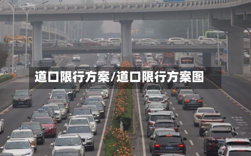 道口限行方案/道口限行方案图