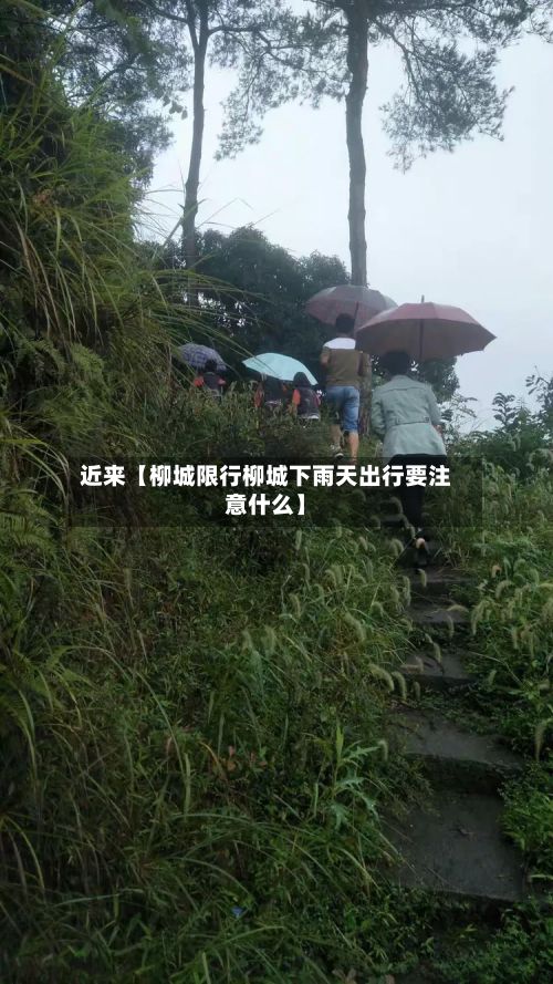 近来【柳城限行柳城下雨天出行要注意什么】-第2张图片