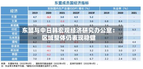 东盟与中日韩宏观经济研究办公室:区域整体仍表现稳健-第3张图片