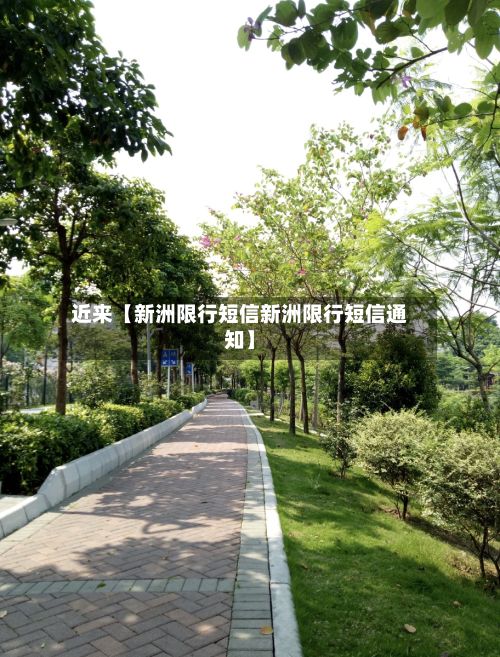 近来【新洲限行短信新洲限行短信通知】