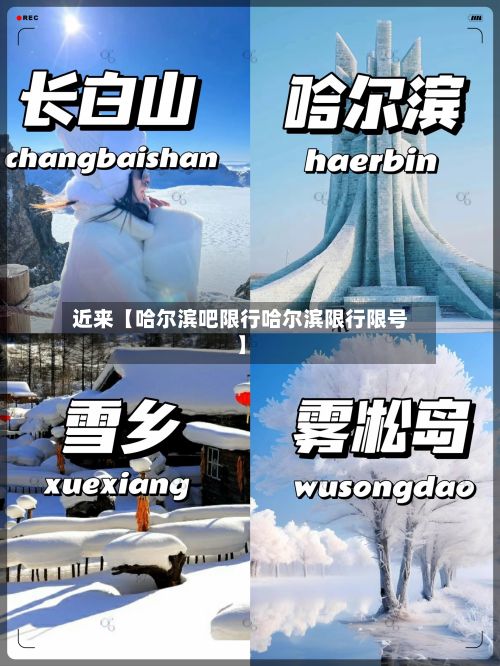 近来【哈尔滨吧限行哈尔滨限行限号】-第2张图片