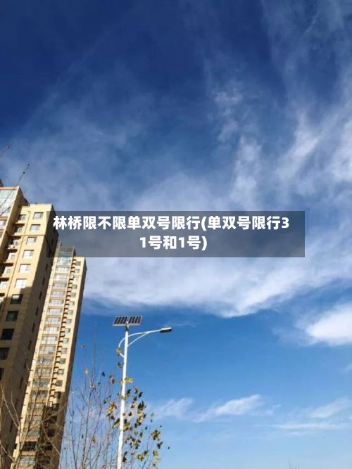 林桥限不限单双号限行(单双号限行31号和1号)-第3张图片