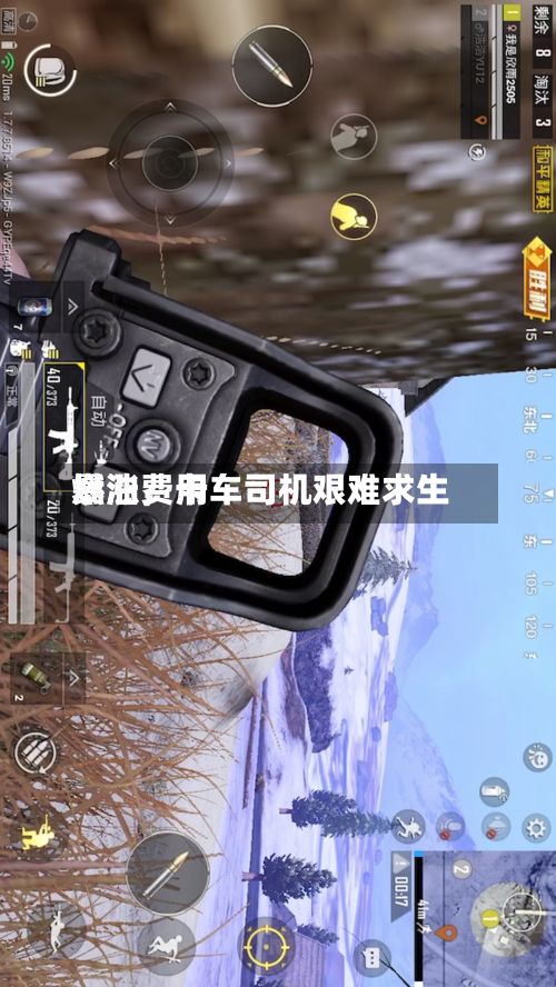 燃油费用暴涨，卡车司机艰难求生-第3张图片