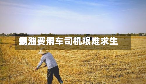 燃油费用暴涨，卡车司机艰难求生-第1张图片
