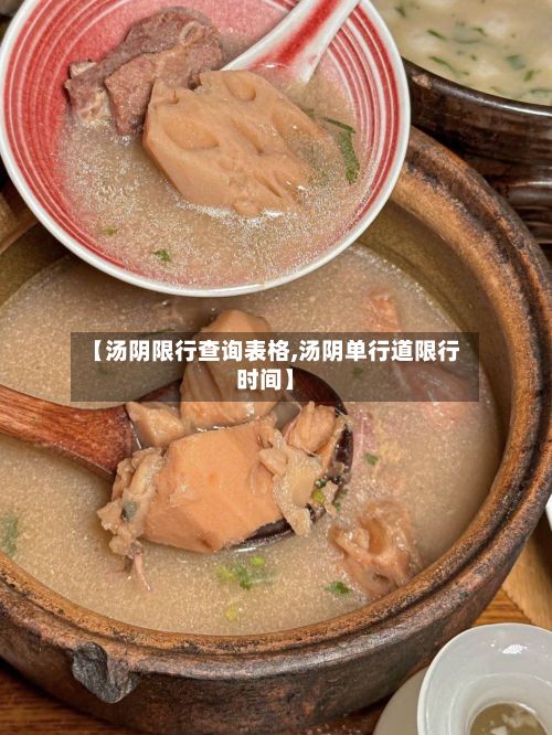 【汤阴限行查询表格,汤阴单行道限行时间】