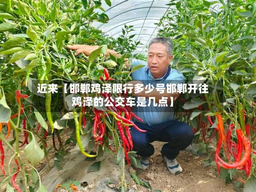 近来【邯郸鸡泽限行多少号邯郸开往鸡泽的公交车是几点】-第2张图片