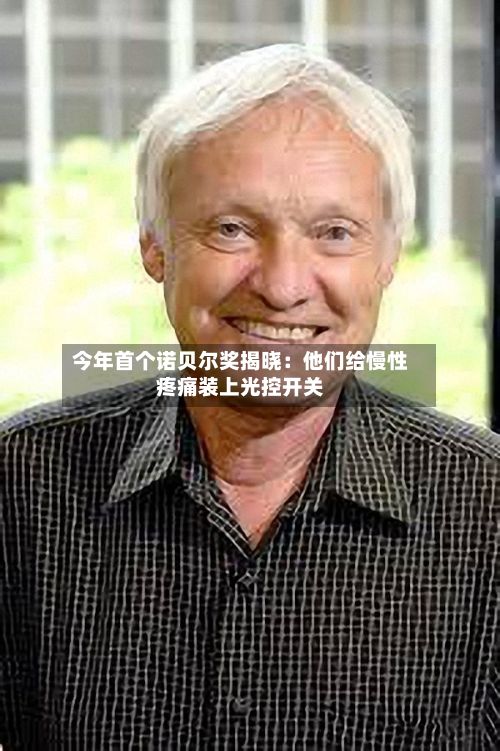 今年首个诺贝尔奖揭晓：他们给慢性疼痛装上光控开关-第2张图片