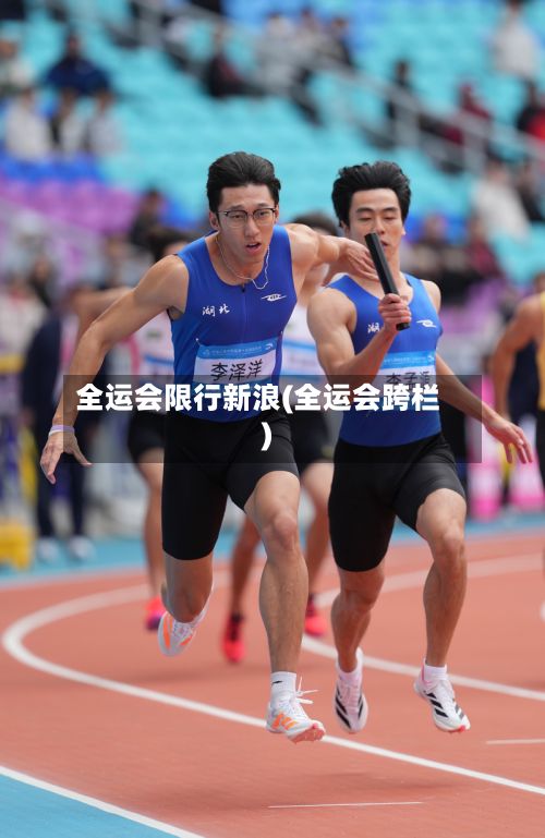 全运会限行新浪(全运会跨栏)