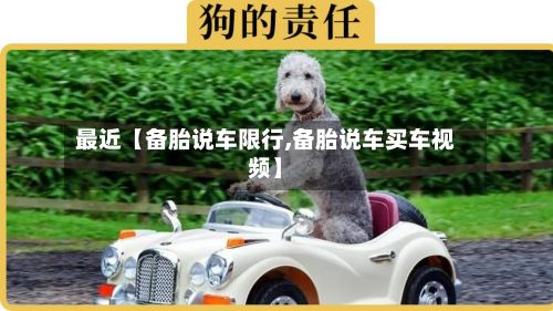最近【备胎说车限行,备胎说车买车视频】-第3张图片