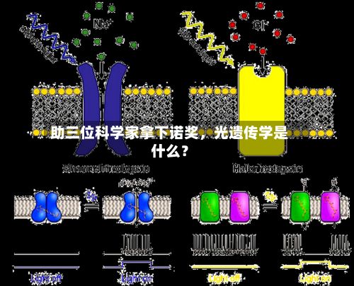 助三位科学家拿下诺奖，光遗传学是什么？-第3张图片