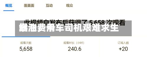 燃油费用暴涨，卡车司机艰难求生-第2张图片