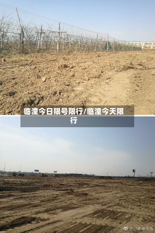 临潼今日限号限行/临潼今天限行-第2张图片