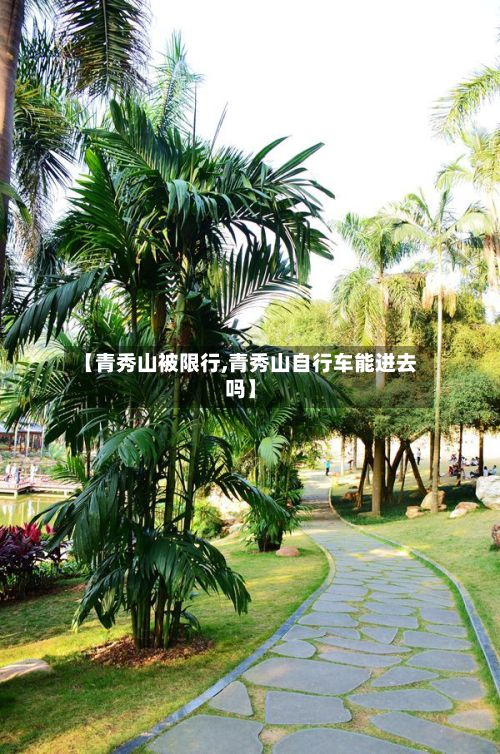 【青秀山被限行,青秀山自行车能进去吗】