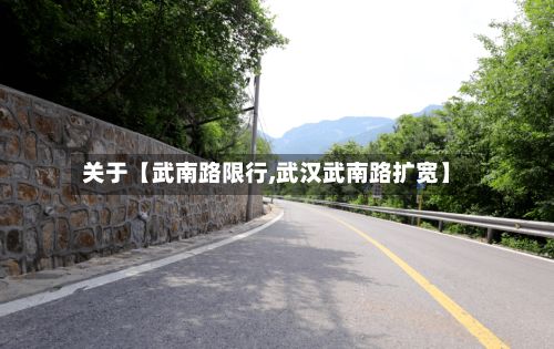 关于【武南路限行,武汉武南路扩宽】-第2张图片