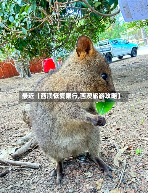 最近【西澳恢复限行,西澳旅游攻略】