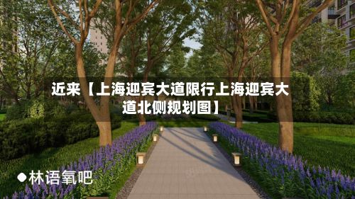 近来【上海迎宾大道限行上海迎宾大道北侧规划图】-第2张图片