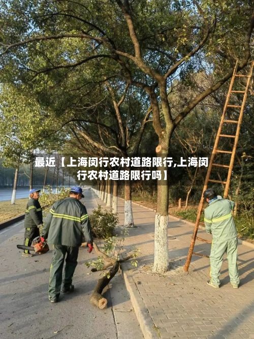 最近【上海闵行农村道路限行,上海闵行农村道路限行吗】